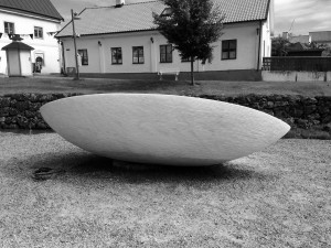 IMG_5510
