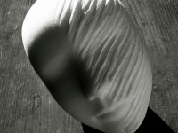 IL SOGNO (the Dream) 2014