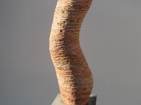 SORAIA 2014