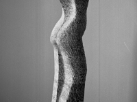 SORAIA 2007