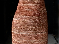SORAIA 2016