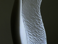 TORSO 2003