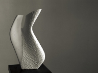 TORSO 2003